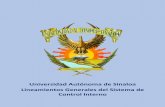 Universidad Autónoma de Sinaloa Lineamientos Generales del ...