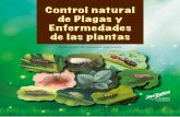 Control natural de Plagas y Enfermedades de las plantas