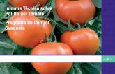 Informe Técnico sobre Polilla del Tomate Programa de ...
