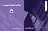Programa Estado del Gas - CEARE