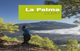 La Palma 2020