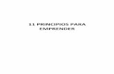 11 PRINCIPIOS PARA EMPRENDER - memoquintana11