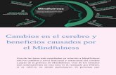 Cambios en el cerebro y beneficios causados por el Mindfulness