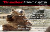 Trader Secrets nº8
