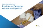 Curso Universitario en Nutrición en Patologías del Aparato ...