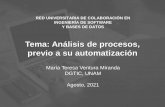 Tema: Análisis de procesos, previo a su automatización