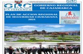 PLAN DE ACCION REGIONAL DE SEGURIDAD CIUDADANA 2021