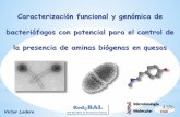 Caracterización funcional y genómica de bacteriófagos con ...