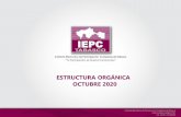 ESTRUCTURA ORGÁNICA OCTUBRE 2020