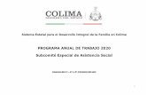 PROGRAMA ANUAL DE TRABAJO 2020 Subcomité Especial de ...