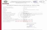 INFORME DE ENSAYO CON VALOR OFICIAL No. 130410L/19-MA