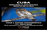 CUBA - Austral Photo