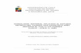UNIVERSIDAD DE CHILE FACULTAD DE ARTES DEPARTAMENTO …