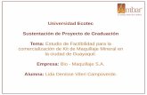 Universidad Ecotec Sustentación de Proyecto de Graduación ...