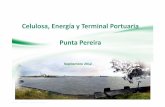 Celulosa, Energía y Terminal Portuaria Punta Pereira