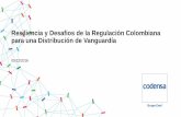 Resiliencia y Desafios de la Regulación Colombiana para ...