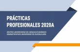 PRÁCTICAS PROFESIONALES 2020A