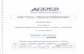 VOLUMEN II SUBESTACIONES EN 220 kV PUNO-JULIACA …