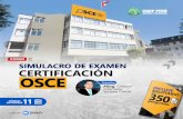 SIMULACRO DE EXAMEN DE CERTIFICACIÓN OSCE