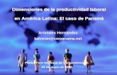 Dimensiones de la productividad laboral: EL CASO PANAMÁ