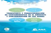 TRANSPORTE Y TRANSFORMACION - Apiha
