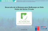 Desarrollo de la Biomasa para BioEnergía en Chile Visión ...