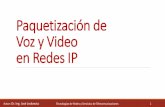 Paquetización de Voz y Video en Redes IP