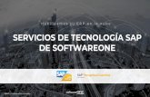 SERVICIOS DE TECNOLOGÍA SAP DE SOFTWAREONE