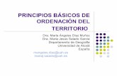 PRINCIPIOS BÁSICOS DE ORDENACIÓN DEL TERRITORIO