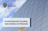 ACREDITACIÓN INSTITUCIONAL ÁREA DOCENCIA DE PREGRADO