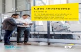 Labs Inversores - Sesión 2 - EY