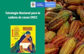Estrategia Nacional para la cadena de cacao ENCC