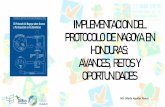 IMPLEMENTACION DEL PROTOCOLO DE NAGOYA EN HONDURAS ...