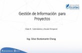 Gestión de Información para Proyectos