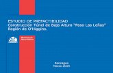 ESTUDIO DE PREFACTIBILIDAD Construcción Túnel de Baja ...