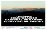 Tercera Comunicación Nacional de Cambio Climático ÍNDICE ...