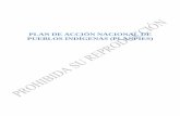 PLAN DE ACCIÓN NACIONAL DE PUEBLOS INDÍGENAS (PLANPIES)
