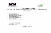 GUIA DE PROCESAMIENTO DE MATERIALES CLINICOS