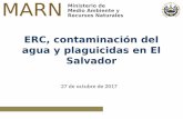 ERC, contaminación del agua y plaguicidas en El Salvador