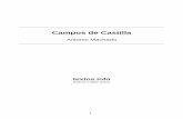 Campos de Castilla - textos