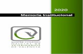 Memoria Institucional - ICOVV: Ilustre Colegio Oficial de ...