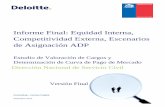 Informe Final: Equidad Interna, Competitividad Externa ...