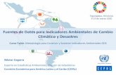 Fuentes de Datos para Indicadores Ambientales de Cambio ...