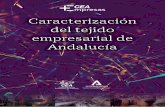 Caracterización del tejido empresarial de Andalucía