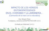 IMPACTO DE LOS HONGOS ENTOMOPATÓGENOS