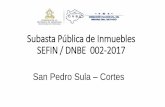 Subasta Pública de Inmuebles SEFIN / DNBE 001-2017