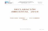 DECLARACIÓN AMBIENTAL 2018