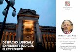 DESPACHO JUDICIAL Y EXPEDIENTE JUDICIAL ELECTRÓNICO