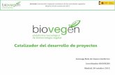 Catalizador del desarrollo de proyectos - Biovegen
