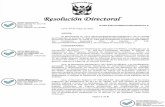 N°029-2021/VIVIENDA/VMCS/PNSU/1.0. CONSIDERANDO
